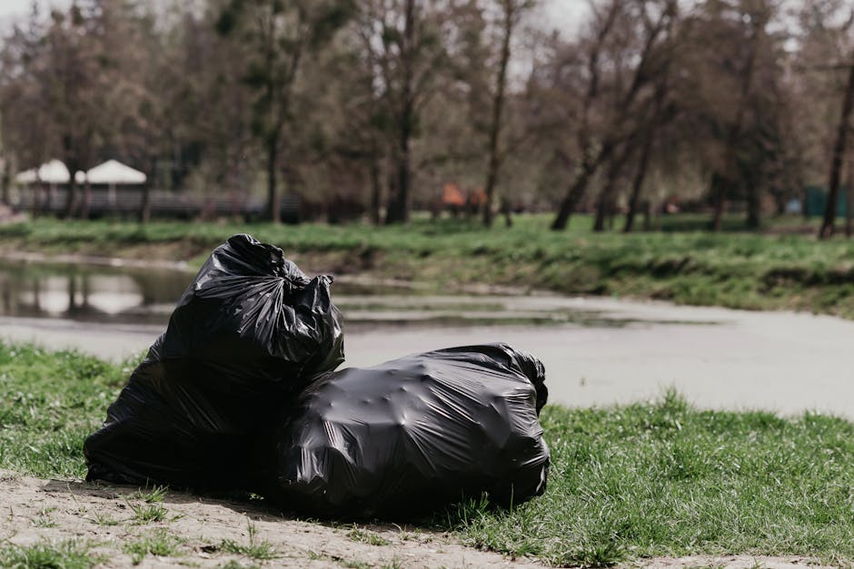 Two large black plastic rubbish bags are placed on a grassy patch near a body of water in an outdoor park setting. The bags are tightly tied, with the one on the left slightly leaning and the one on the right resting flat on the ground. Both bags have a shiny, smooth surface characteristic of standard refuse sacks. In the background, there is a calm body of water reflecting the surrounding trees and a distant park area with some small structures and trees without leaves, suggesting an early spring or late autumn environment. The scene is softly lit with natural daylight, and the overall atmosphere appears quiet and contained, reflecting a typical scene where private waste disposal or rubbish collection services such as Rubbish Clearance Ilford might be involved in clearing waste from outdoor or recreational environments. The image emphasizes the importance of responsible rubbish disposal in public green spaces.